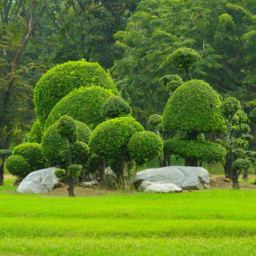 东莞园林绿化
